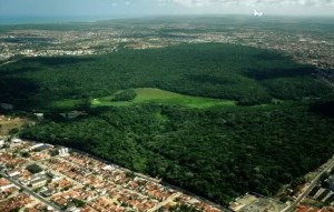 Mata do Buraquinho