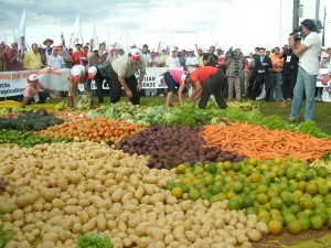 verduras