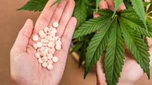 Uso Medicinal da Cannabis
