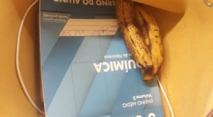 Estudante negra recebe bananas em escola