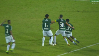Elenco do Guarani troca socos em campo. Imagem: Reprodução Premiere