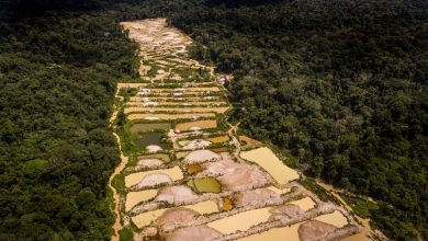 Photo of A morte dos rios – Garimpo ilegal destrói mais de 600 quilômetros de corpos d’água nos territórios Munduruku e Sai Cinza, no Pará